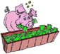 pig_trough money
