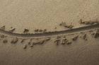 line in sand